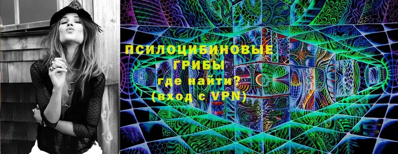 Галлюциногенные грибы Magic Shrooms  Зеленогорск 